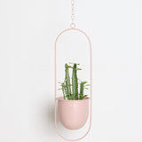 Stella Swinging Flower Pot
