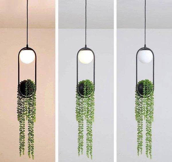 Warren - Sky Garden Planter Light