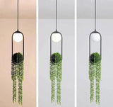 Warren - Sky Garden Planter Light