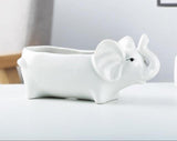 Animal Shaped Mini Pots