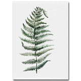 Watercolour Plant Art Collection
