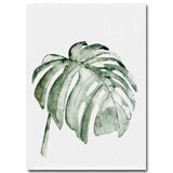 Watercolour Plant Art Collection