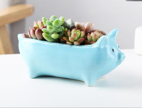 Animal Shaped Mini Pots