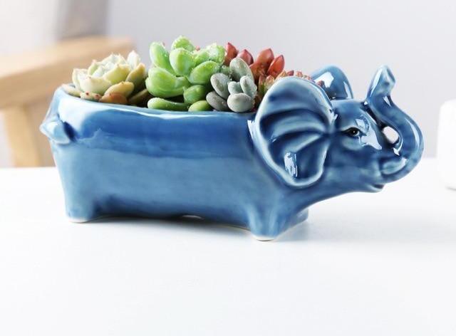 Animal Shaped Mini Pots