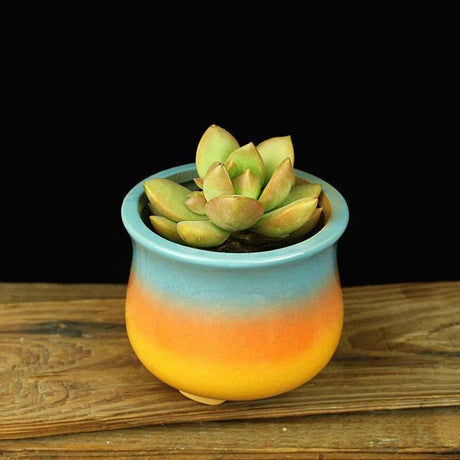 Sunset Pots
