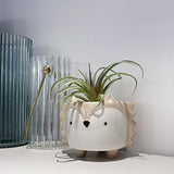 Adorable Animal Planter