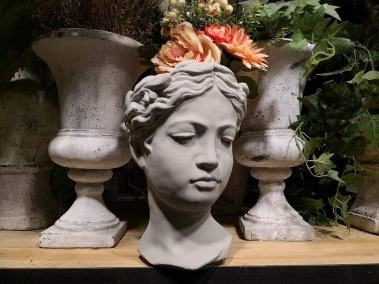 Andromeda Head Pot