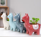 Animal Shaped Mini Pots