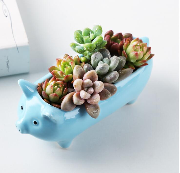 Animal Shaped Mini Pots