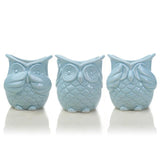 Peek-a-Boo Owl Pots