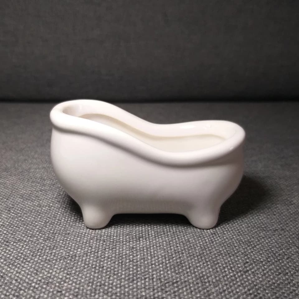 Bathtub Plant Pot