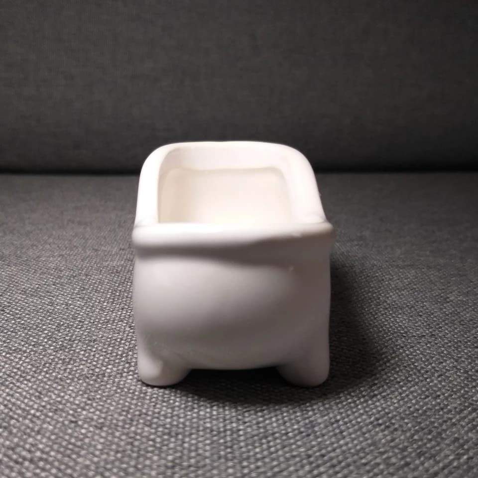 Bathtub Plant Pot