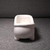 Bathtub Plant Pot