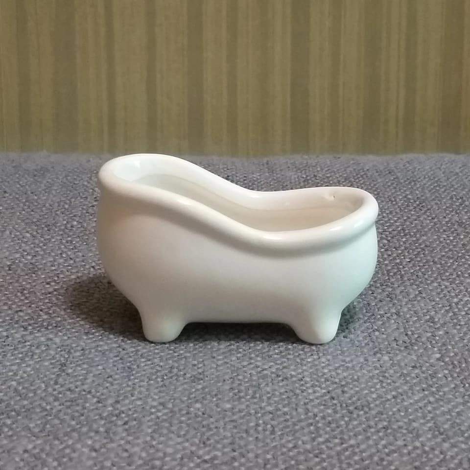 Bathtub Plant Pot