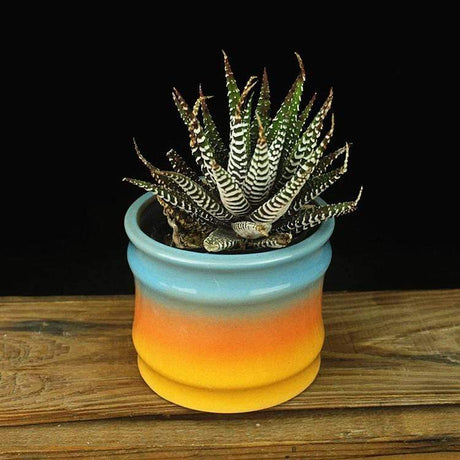 Sunset Pots