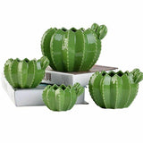 Ceramic Cactus Pots