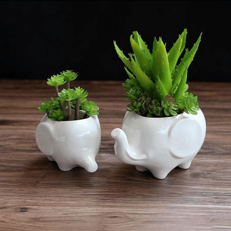 Elephant Plant Pot Set 2pcs
