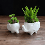 Elephant Plant Pot Set 2pcs