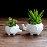 Elephant Plant Pot Set 2pcs