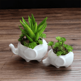 Elephant Plant Pot Set 2pcs