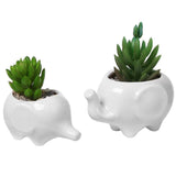 Elephant Plant Pot Set 2pcs