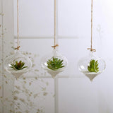 Glass Hanging Terrarium