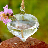 Glass Hanging Terrarium