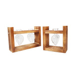 Heart Shaped Glass Bulbs Pot