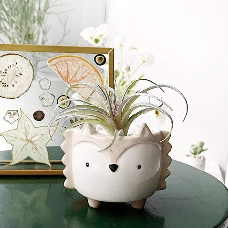 Adorable Animal Planter