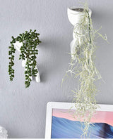 Human Sculptures Plant Pots