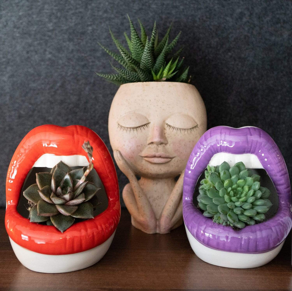 Lips Ceramic Planter