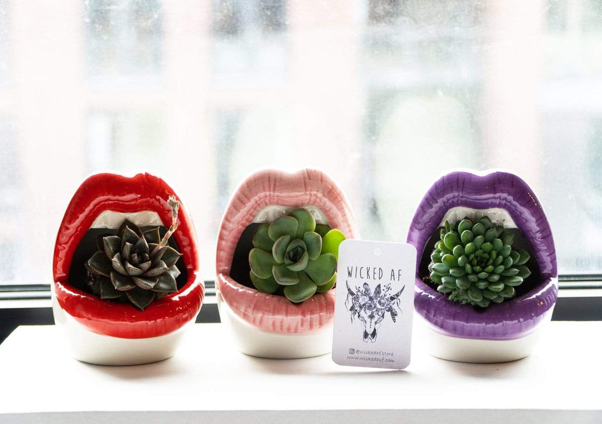 Lips Ceramic Planter