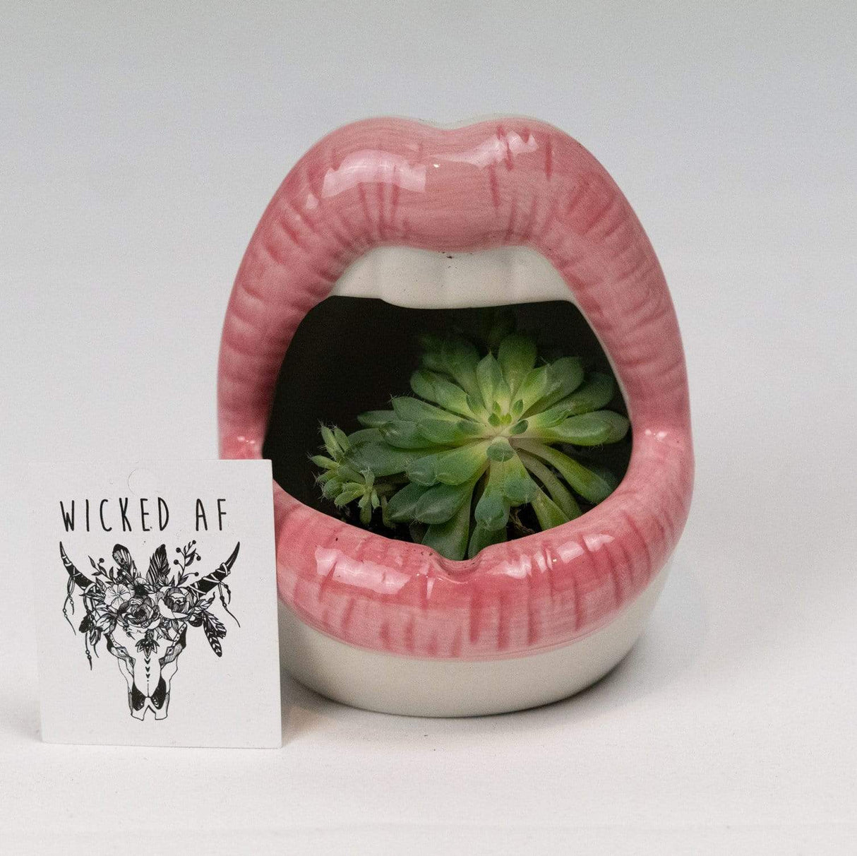 Lips Ceramic Planter