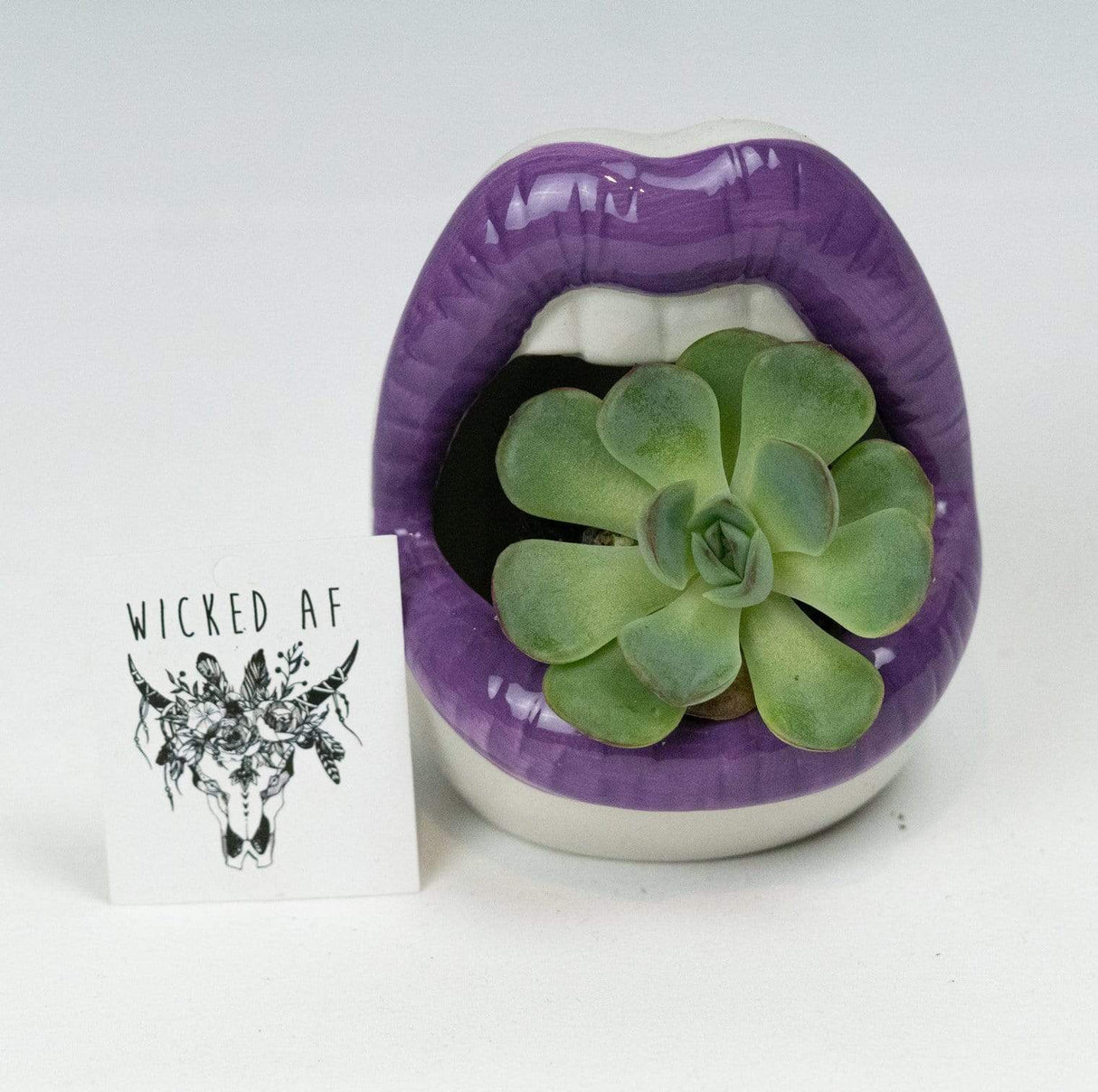 Lips Ceramic Planter