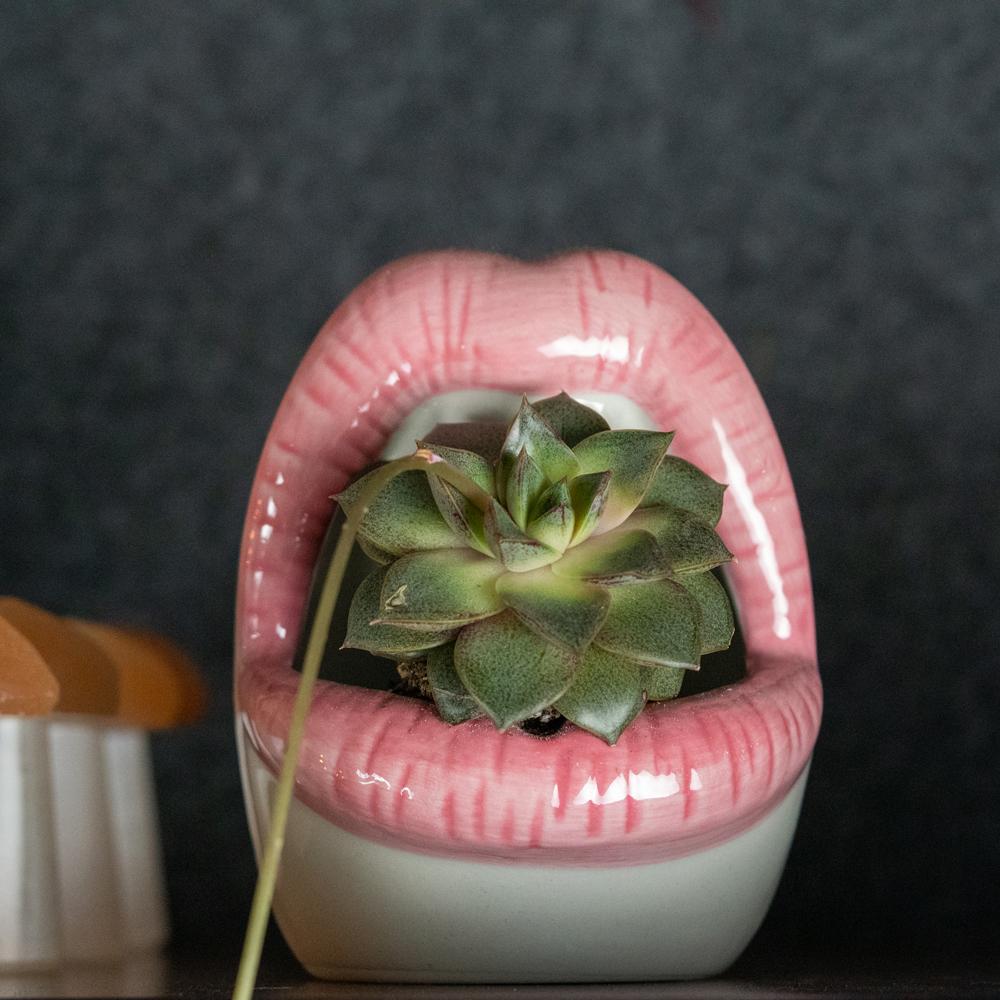 Lips Ceramic Planter