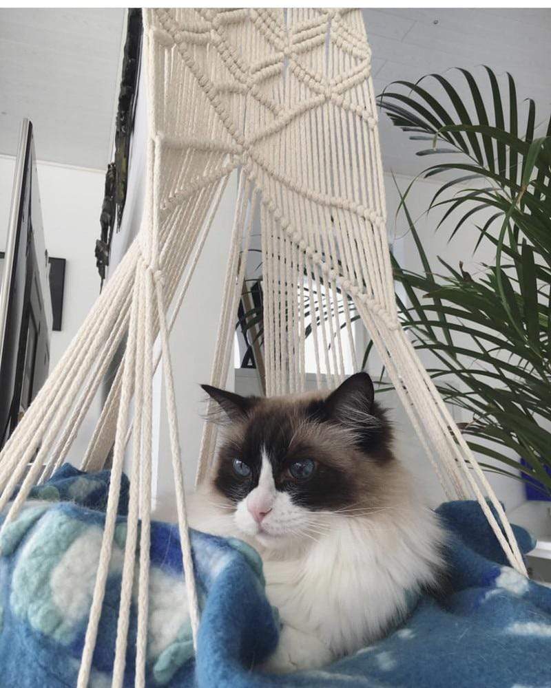 Macrame Wall Hanging Cat Bed