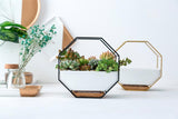 Nordic Modern Ceramic Iron Planter