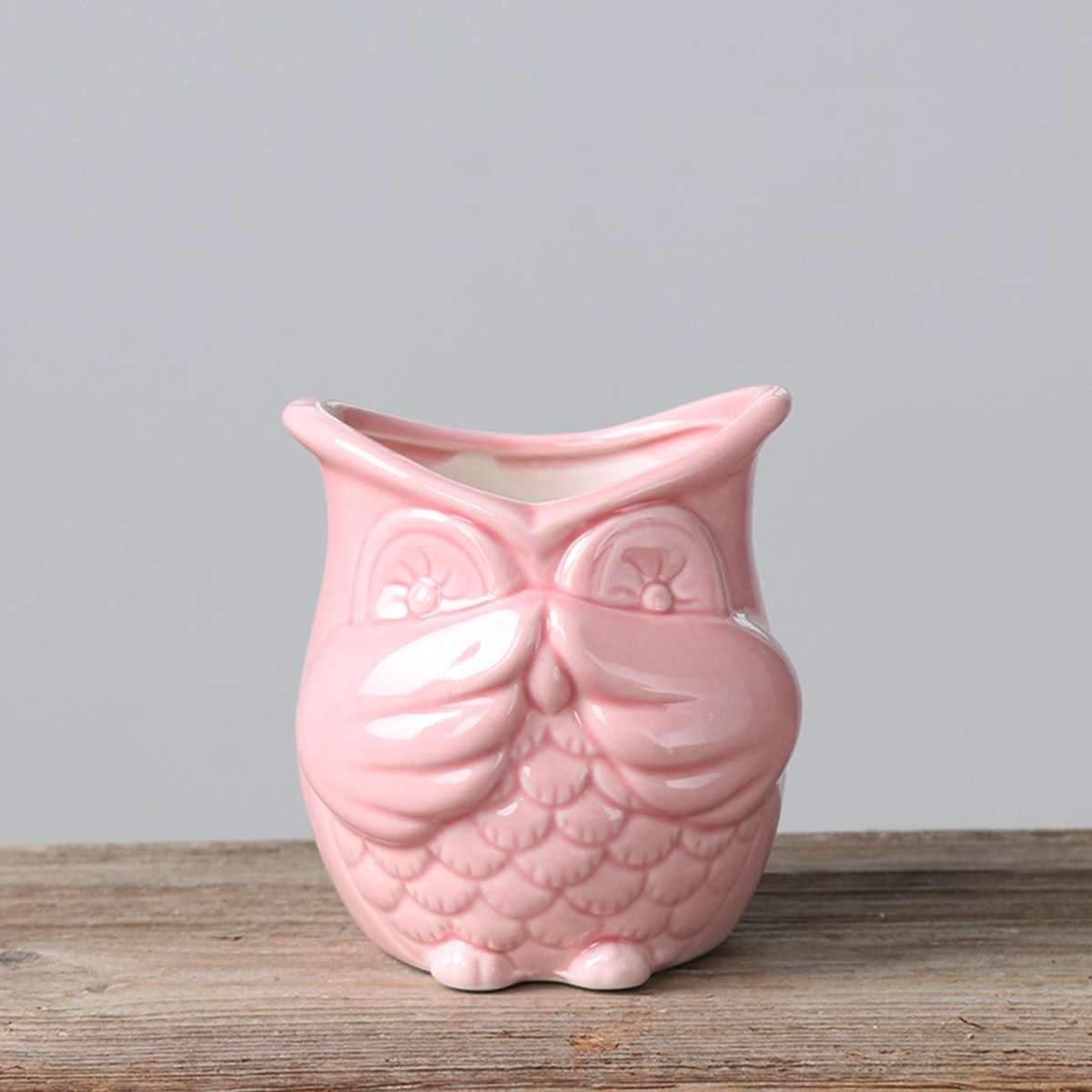 Peek-a-Boo Owl Pots