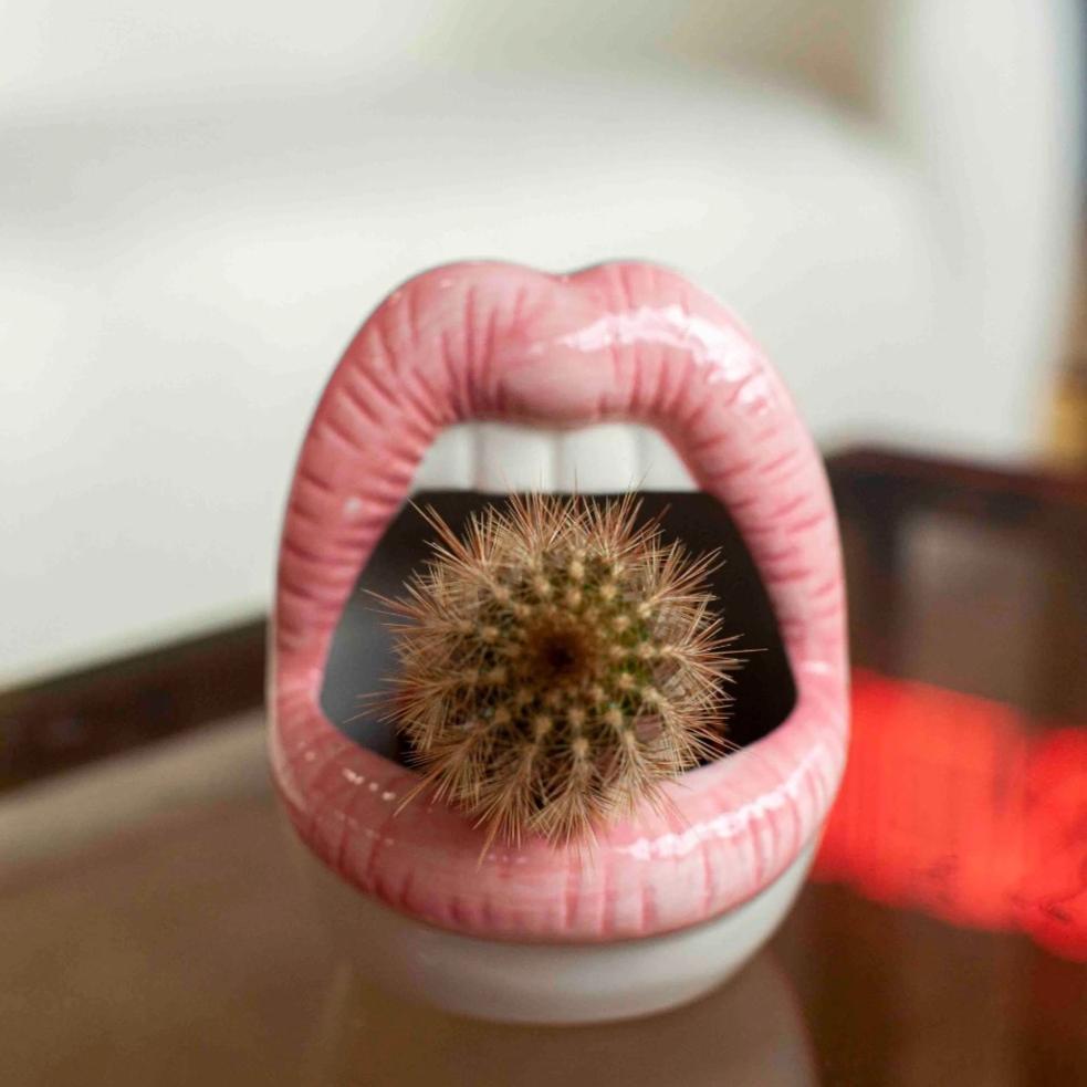 Lips Ceramic Planter