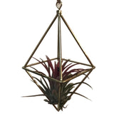 Swing Rhombus Plant Holder