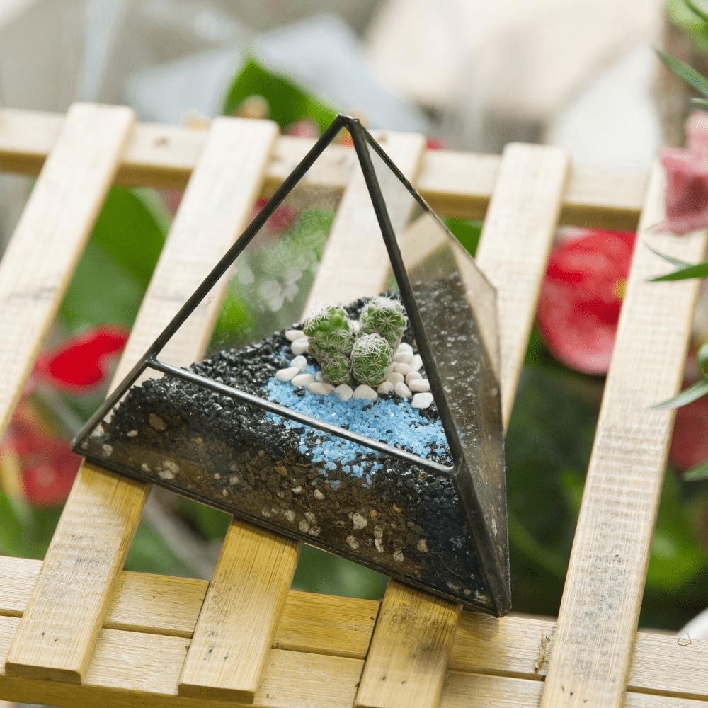 Glass Pyramid Plant Terrarium