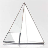 Glass Pyramid Plant Terrarium