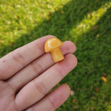Natural Stone Mini Mushrooms