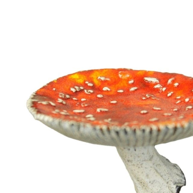 Mushroom Floating Shelf