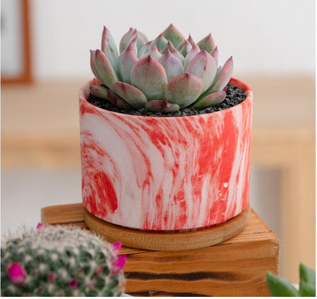 Colorful Tie Dye Flower Pot