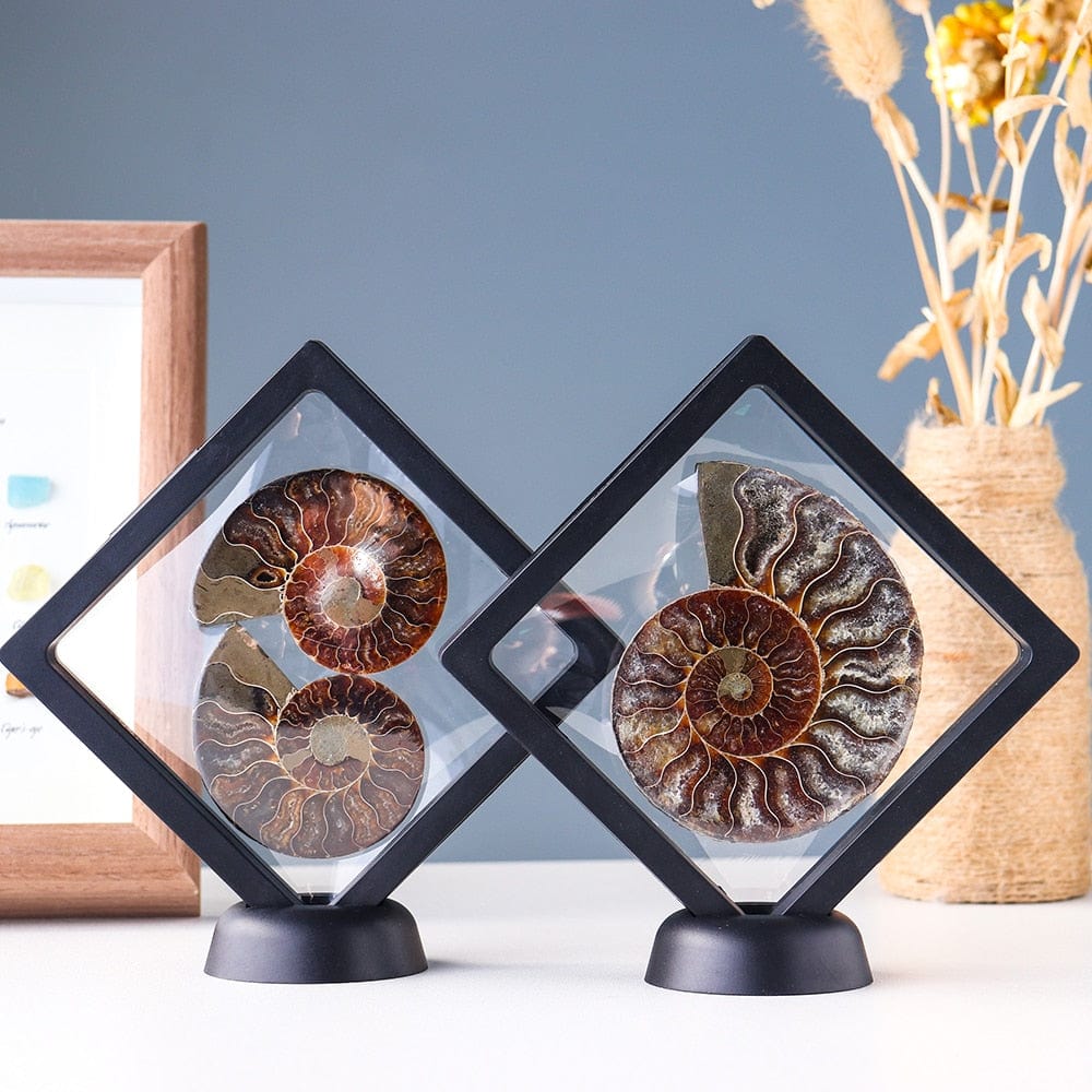 Ammonite Fossil Crystal Ornament