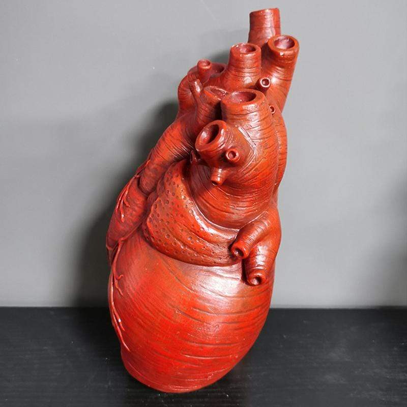 Anatomical Heart Vase