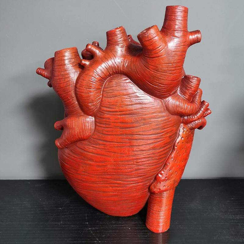 Anatomical Heart Vase