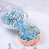 Crystal Infuser Water Bottle