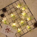 Flower Bulb String Lights